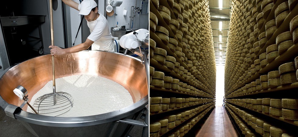 Asiago Dop filiera al collasso: Rischio chiusura per molte aziende